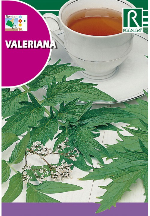 Valeriána lekárska (Valeriana) Rocalba