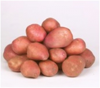 Sadbové zemiaky morené "Desirée" 50 ks
