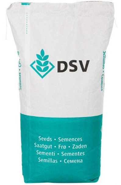 Trávne osivo DSV Speed Green na vrchný výsev 10 kg