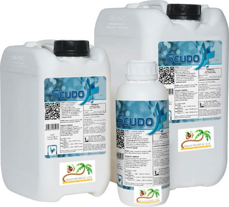 Scudo 1l