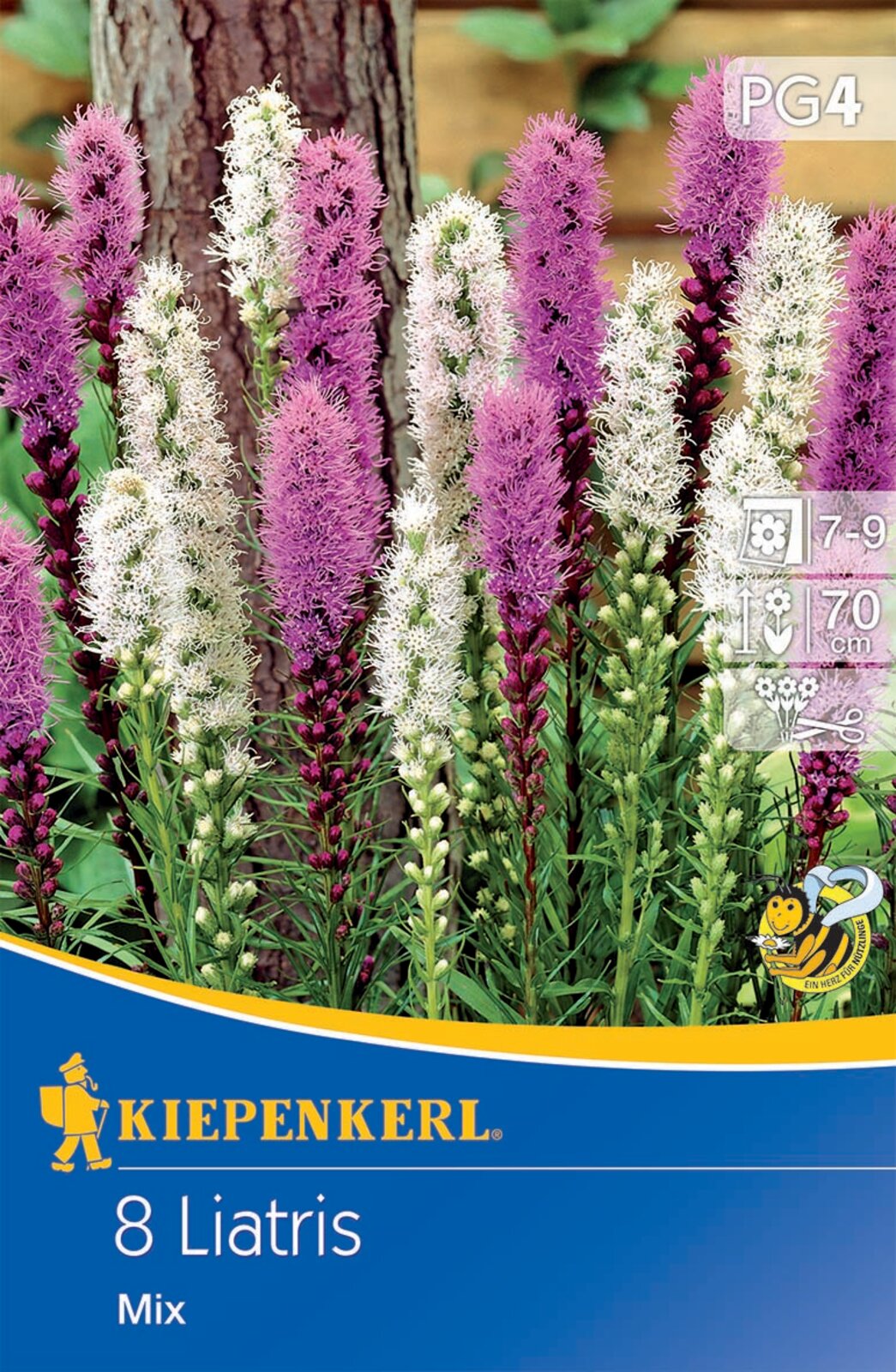 Virághagyma Díszcsorba (Liatris) Mix Kiepenkerl 8 db