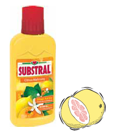 Substral živný roztok pre citrusy 0,25 l