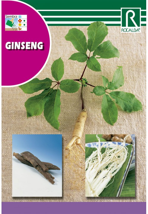 Ginseng Rocalba 4 grains