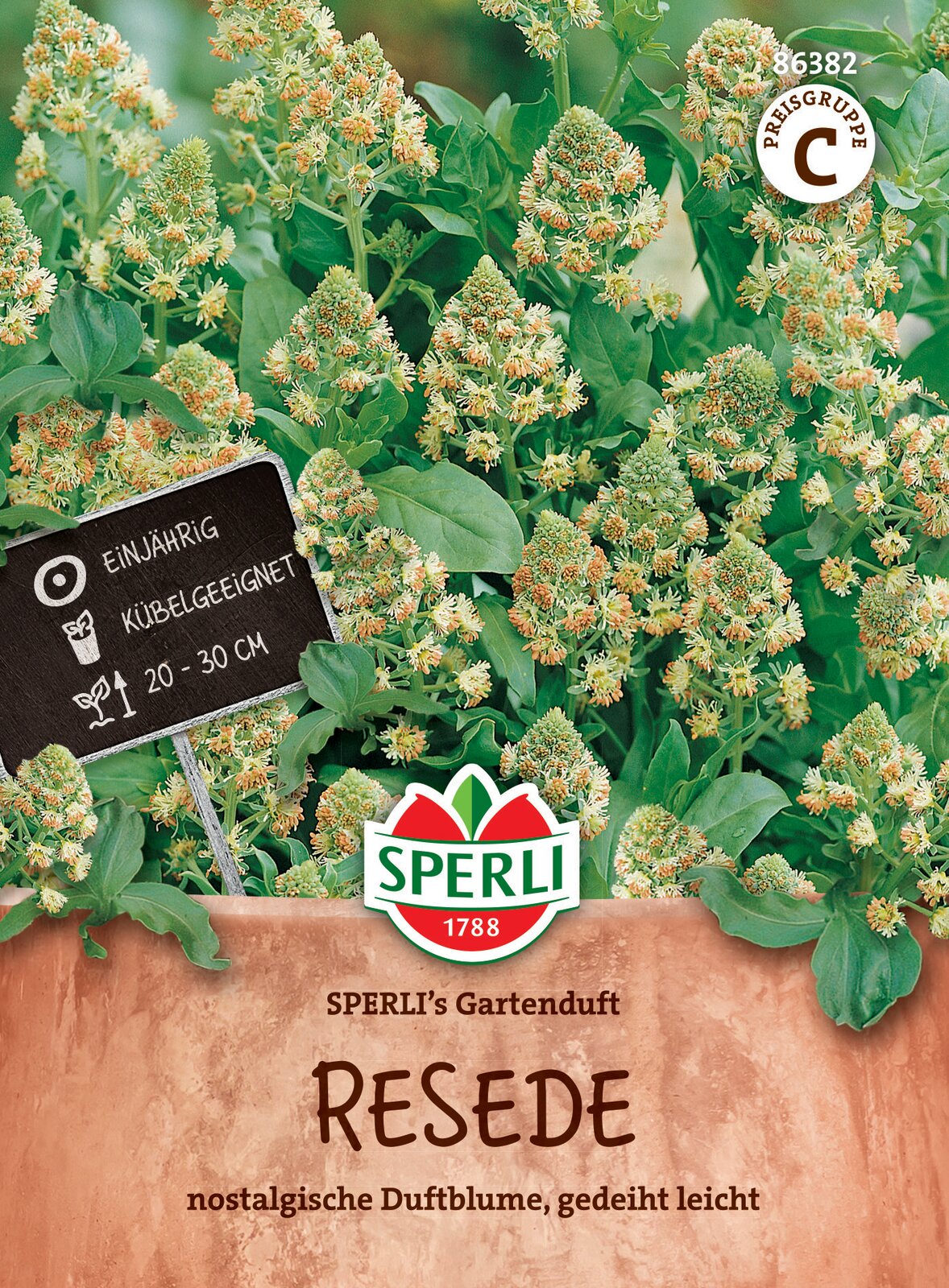 Rezeda Gartenduft 100 szem Sperli