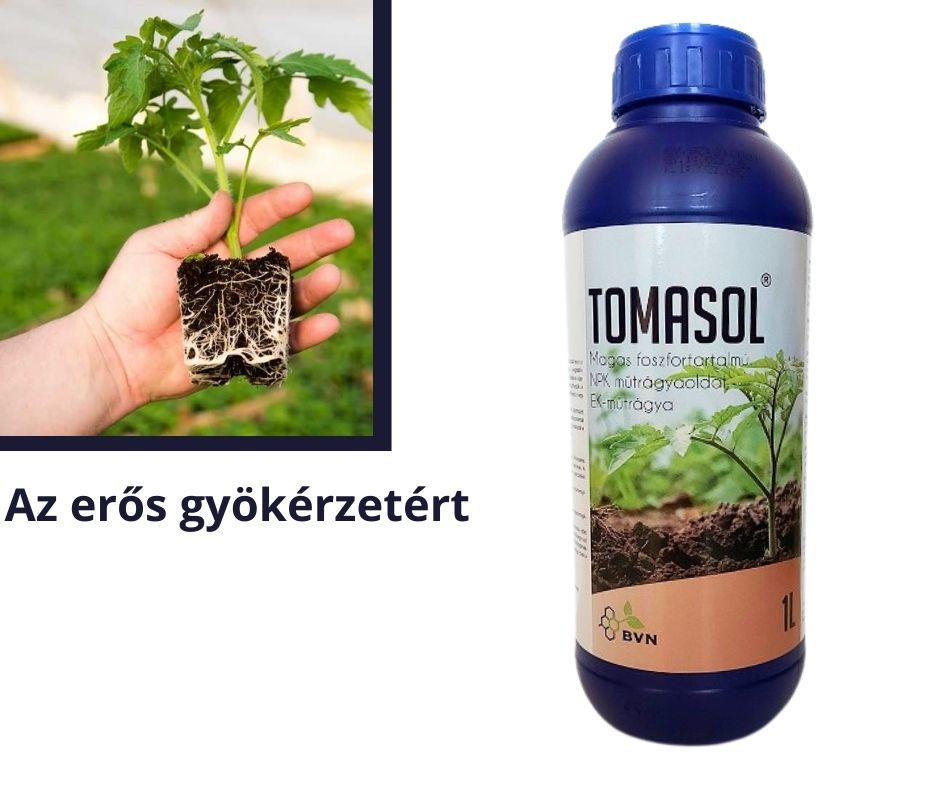 Tomasol 1 l