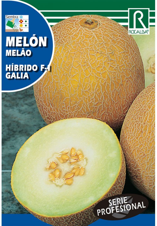 Cantaloupe Galia F1 (zelená dužina) Rocalba 0,5 g