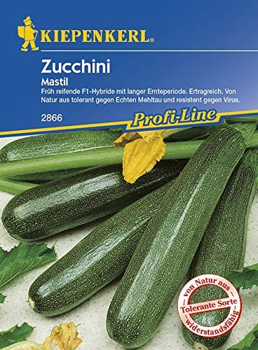 Courgette Mastil F1 Kiepenkerl 7 seeds