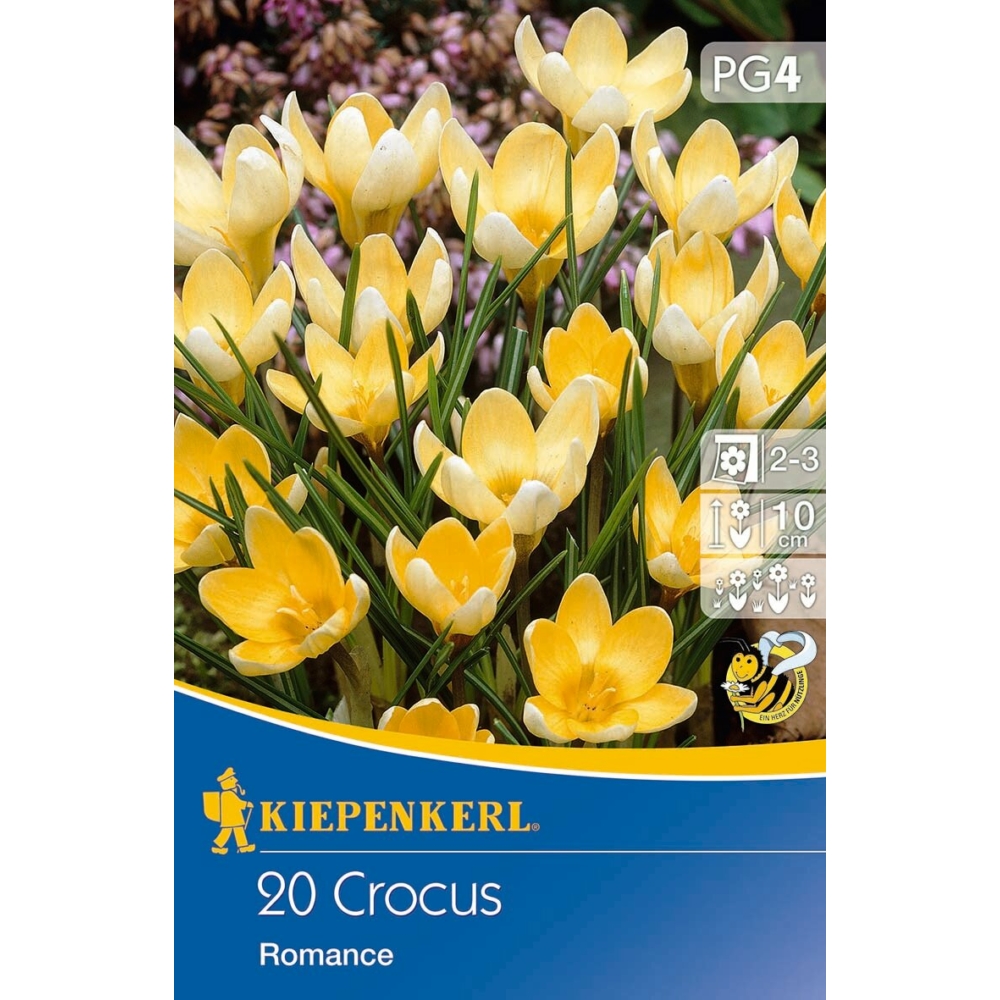 Flower Bulbs Botanical Coconut Romance 20 pcs Kiepenkerl