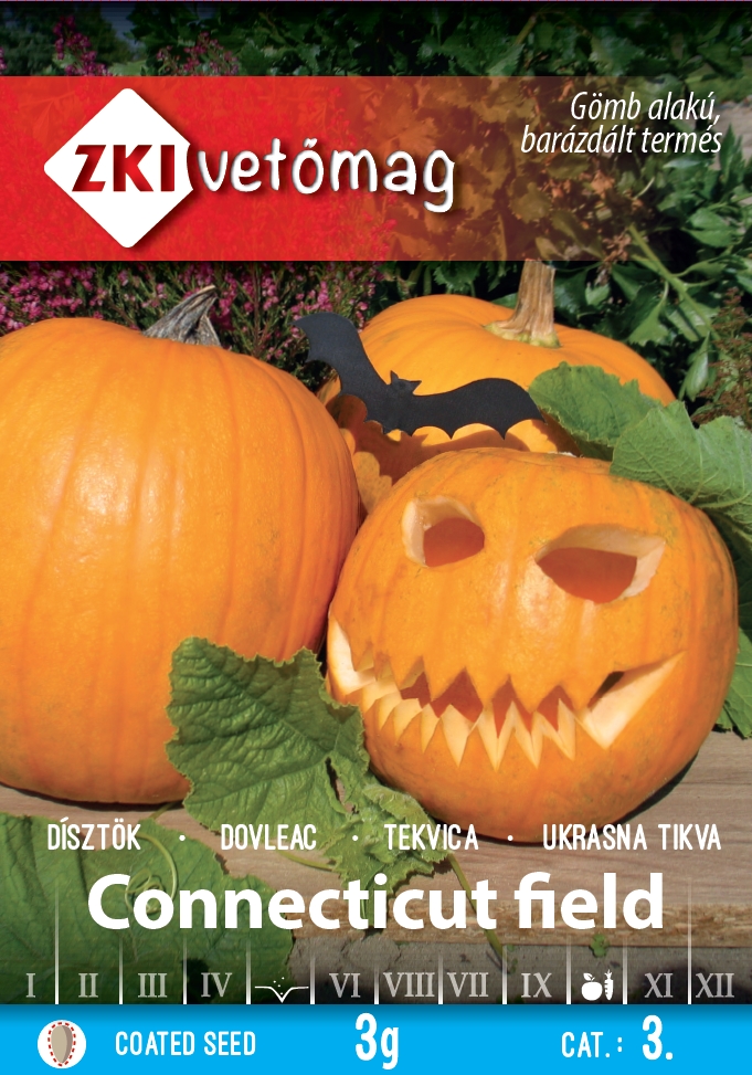 Halloween tekvica Connecticut field 3g ZKI