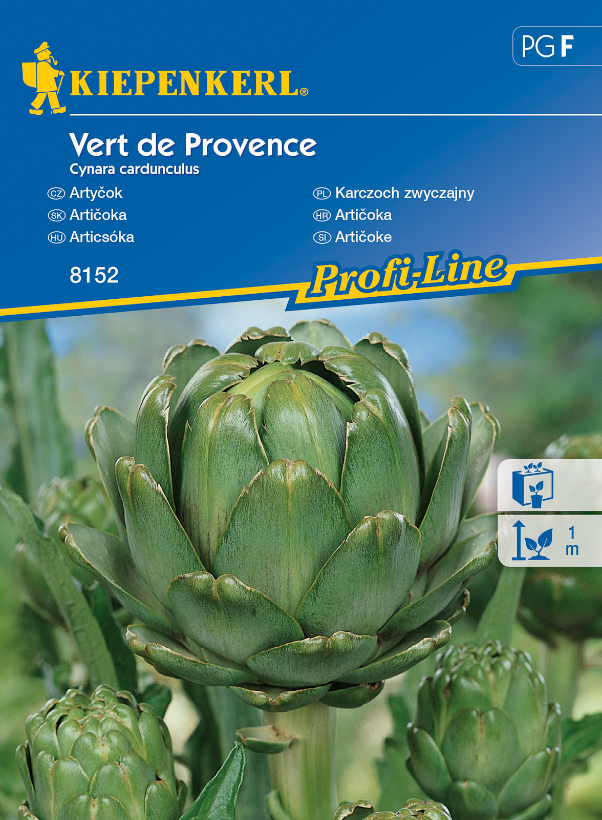 Articsóka Vert de provence 20 szem Kiepenkerl