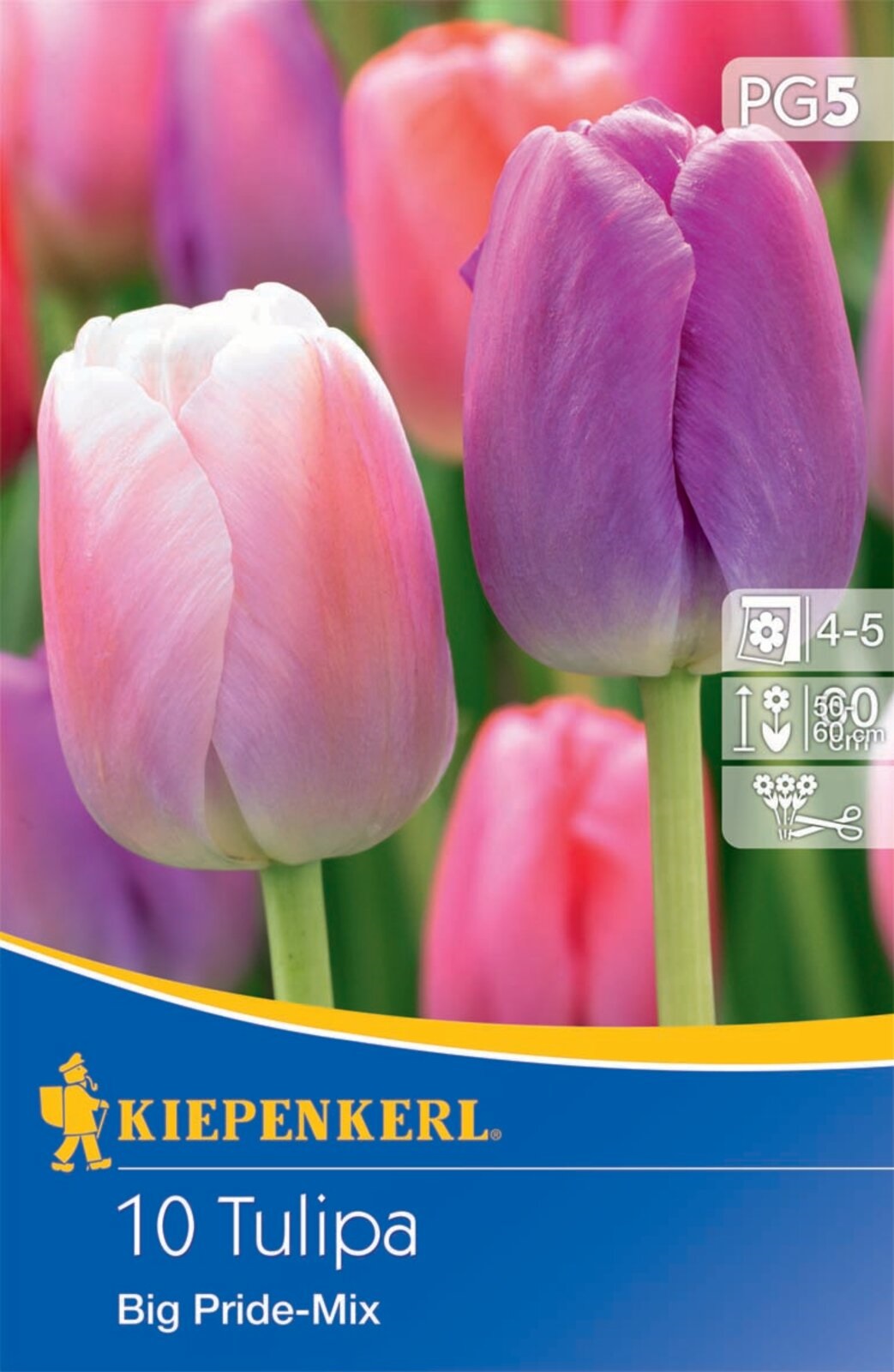 Tulipánové cibule Darwin-hybrid, Kiepenkerl Big Pride Mix 10 ks