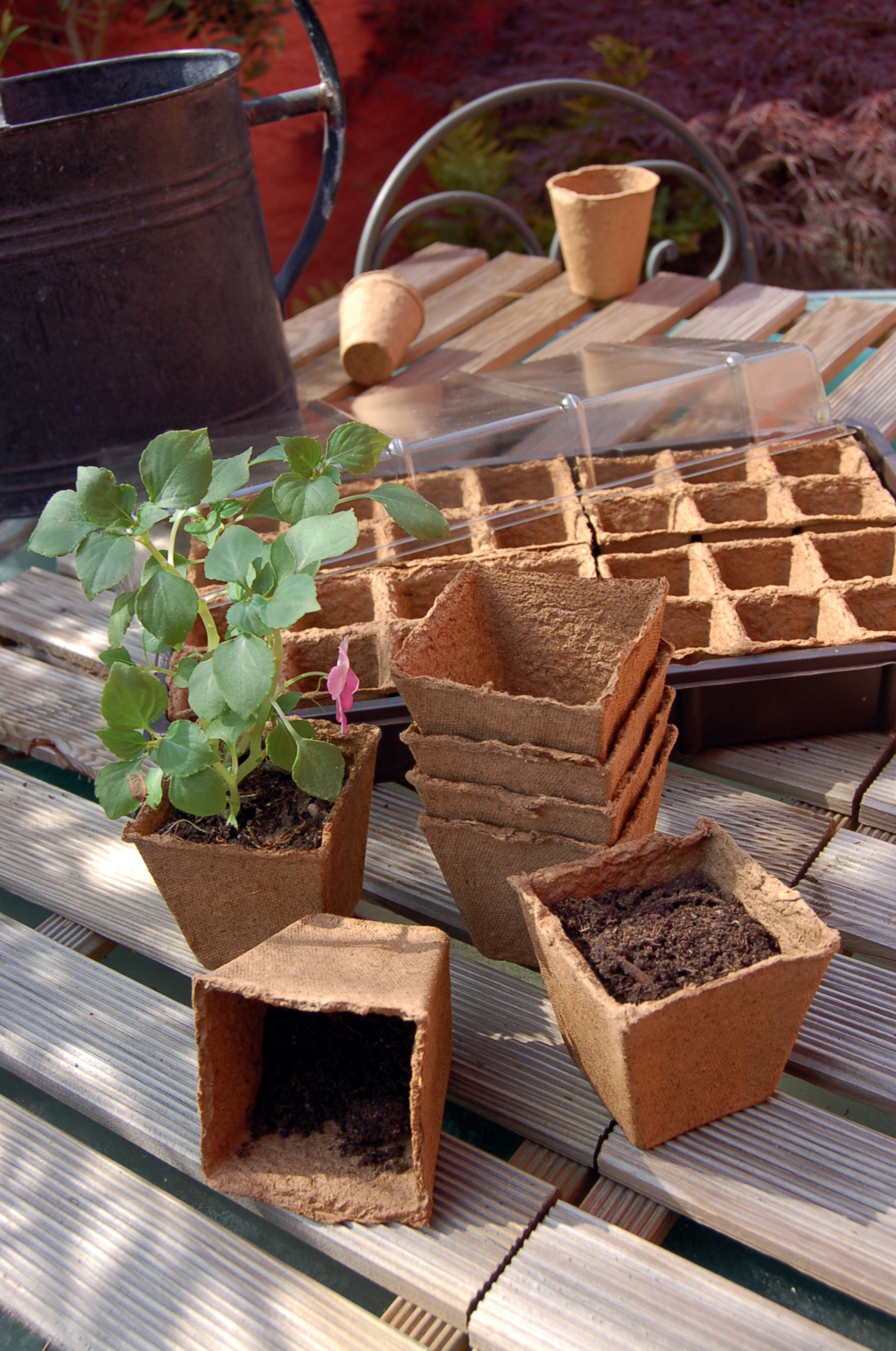 Tőzegcserép "Growing pots" 8x8 cm 12 db