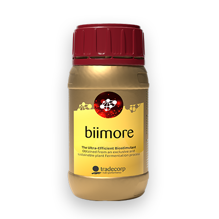 Biimore 250 ml